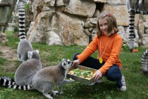 Jardim Zoológico (c) Pumpkin.pt