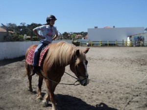 Quinta Pedagógica Burros do Magoito