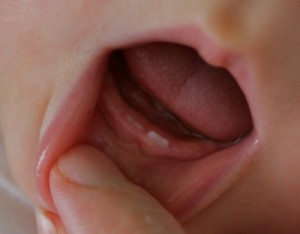 (c) direitos reservados