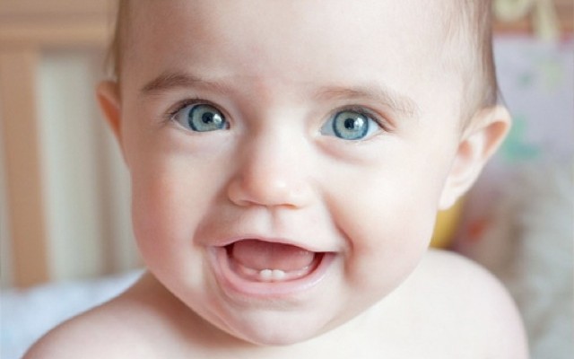 (c) direitos reservados